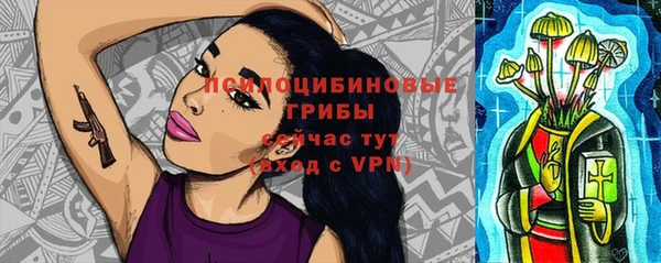 стаф Абинск