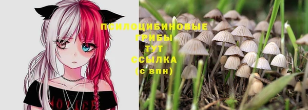 мескалин Нефтегорск