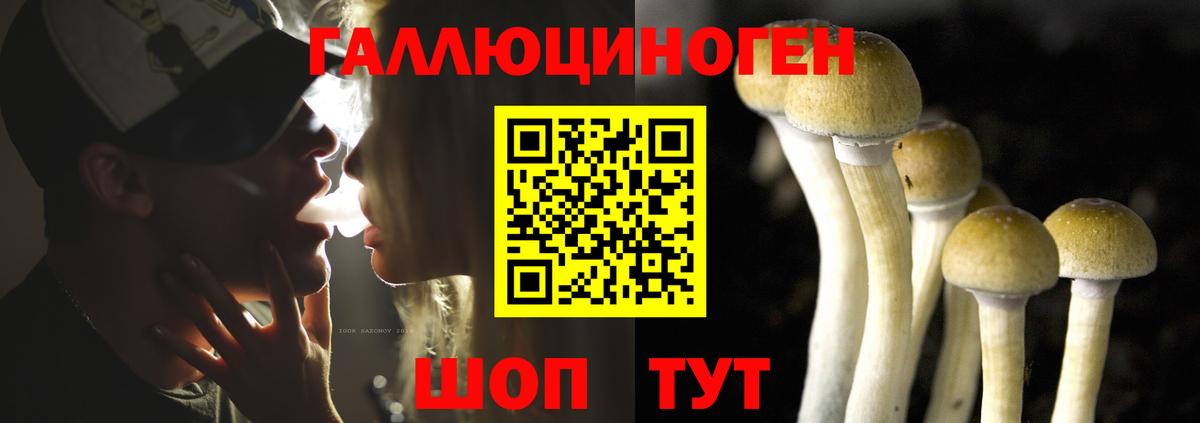 Псилоцибиновые грибы Psilocybe  цены наркотик  Ржев  Галлюциногенные грибы мицелий  Вход с VPN 